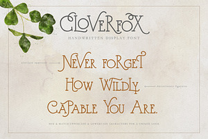 CloverFox Display Font