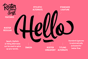 Roster Script + Extras (35% OFF), a Script Font by Fenotype (Thumbnail 9 of 20)