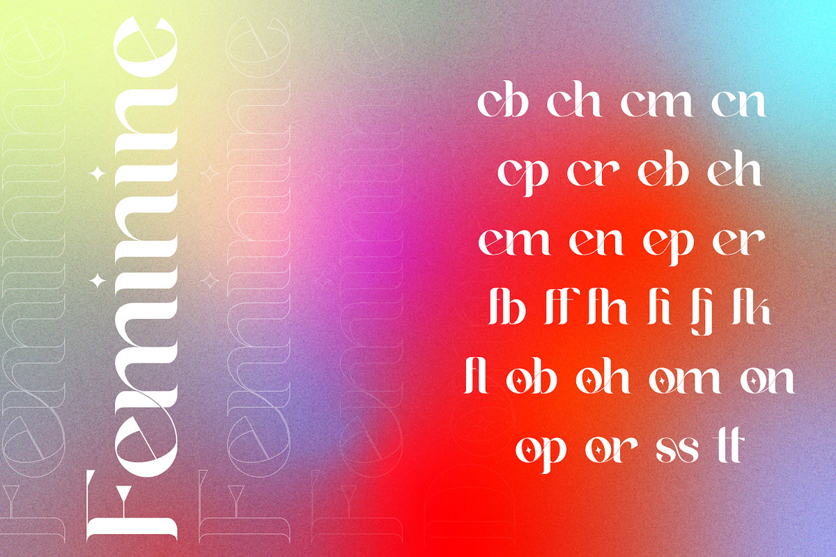 Suika a Modern / Vintage Font, a Serif Font by Lettertype Studio (Photo 12 of 15)