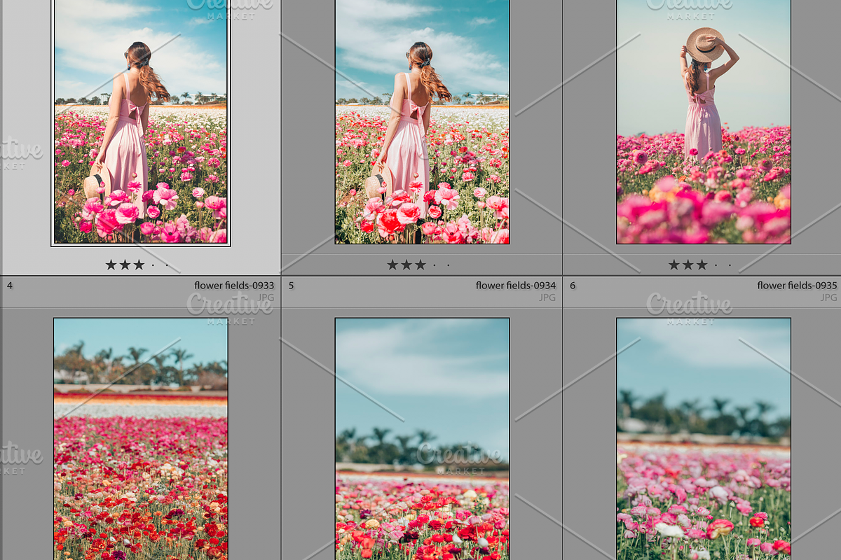 Dreamy Flower Fields Photo Bundle, a Nature Photo by Munopia (Photo 2 of 5)