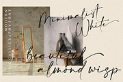Amalfi Coast // Chic Calligraphy., a Script Font by typeline studio (Thumbnail 7 of 16)