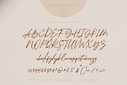 Emilia-Romagna Script Font, a Script Font by Creativeqube Design (Thumbnail 12 of 13)
