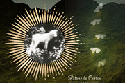 Gold Spiral & Sunburst Overlays, an Object Graphic by alonahaidash (Thumbnail 6 of 13)