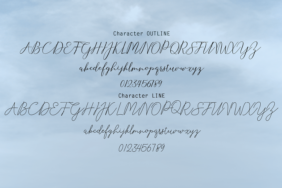 Selvia Font Duo preview 4