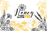 Honey Plants Engraving Collection, an Object Graphic by ilonitta (Thumbnail 1 of 4)