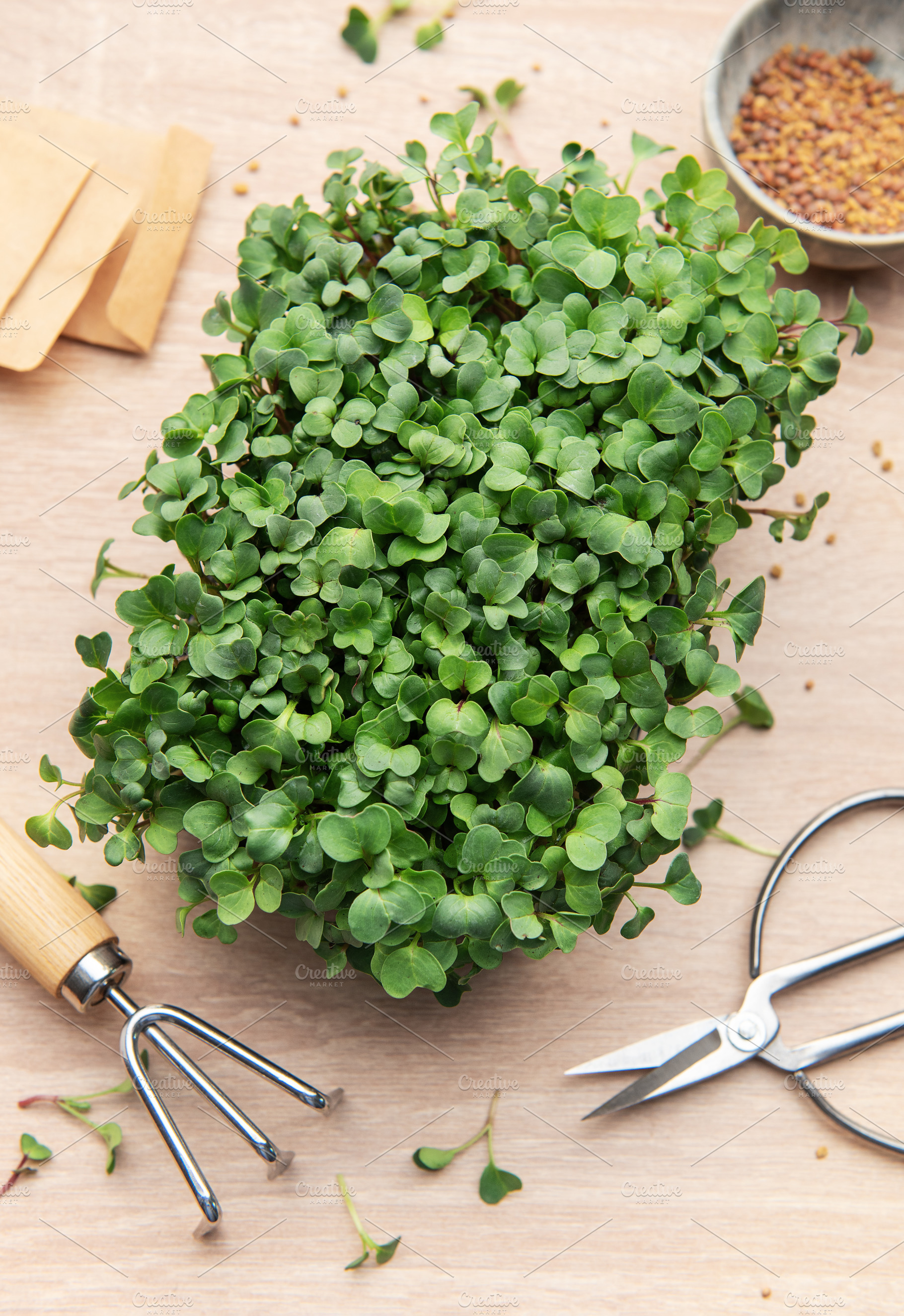 Microgreens growing kit with gardening tools and seeds on table, a Food & Drink Photo by Olena Rudo