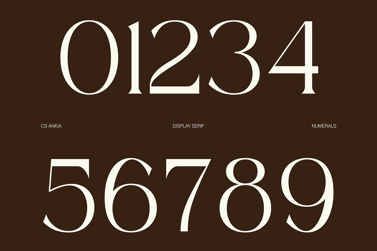 CS Ankia – Elegant Serif Font, a Serif Font by Craft Supply Co. (Photo 5 of 8)
