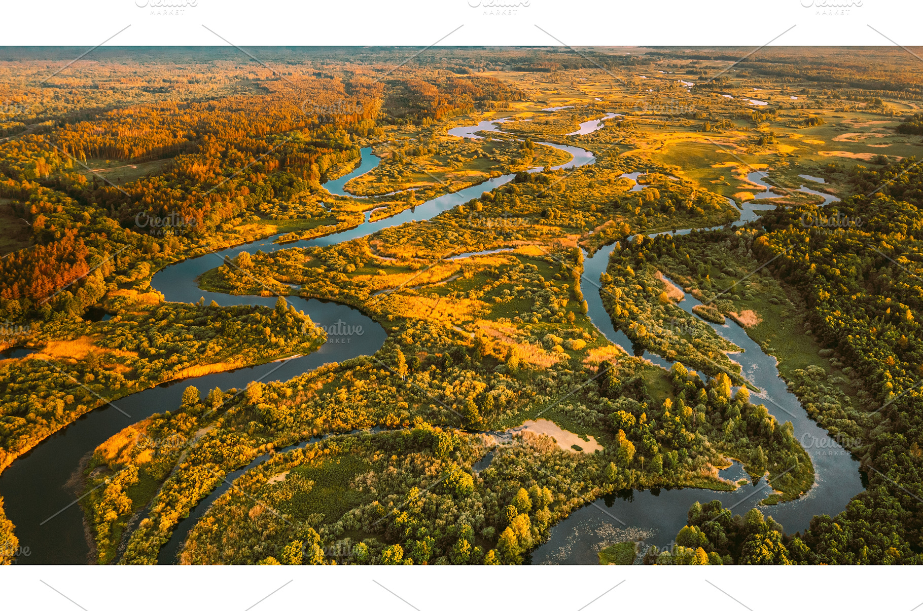 Aerial View Green Forest Woods And, a Nature Photo by Our Amazing World