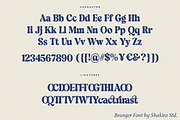 Branger - Modern Retro Serif, a Serif Font by Shakira Studio (Thumbnail 15 of 15)