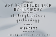 Spring, a Handwritten Font by FreshTypeINK (Thumbnail 6 of 8)