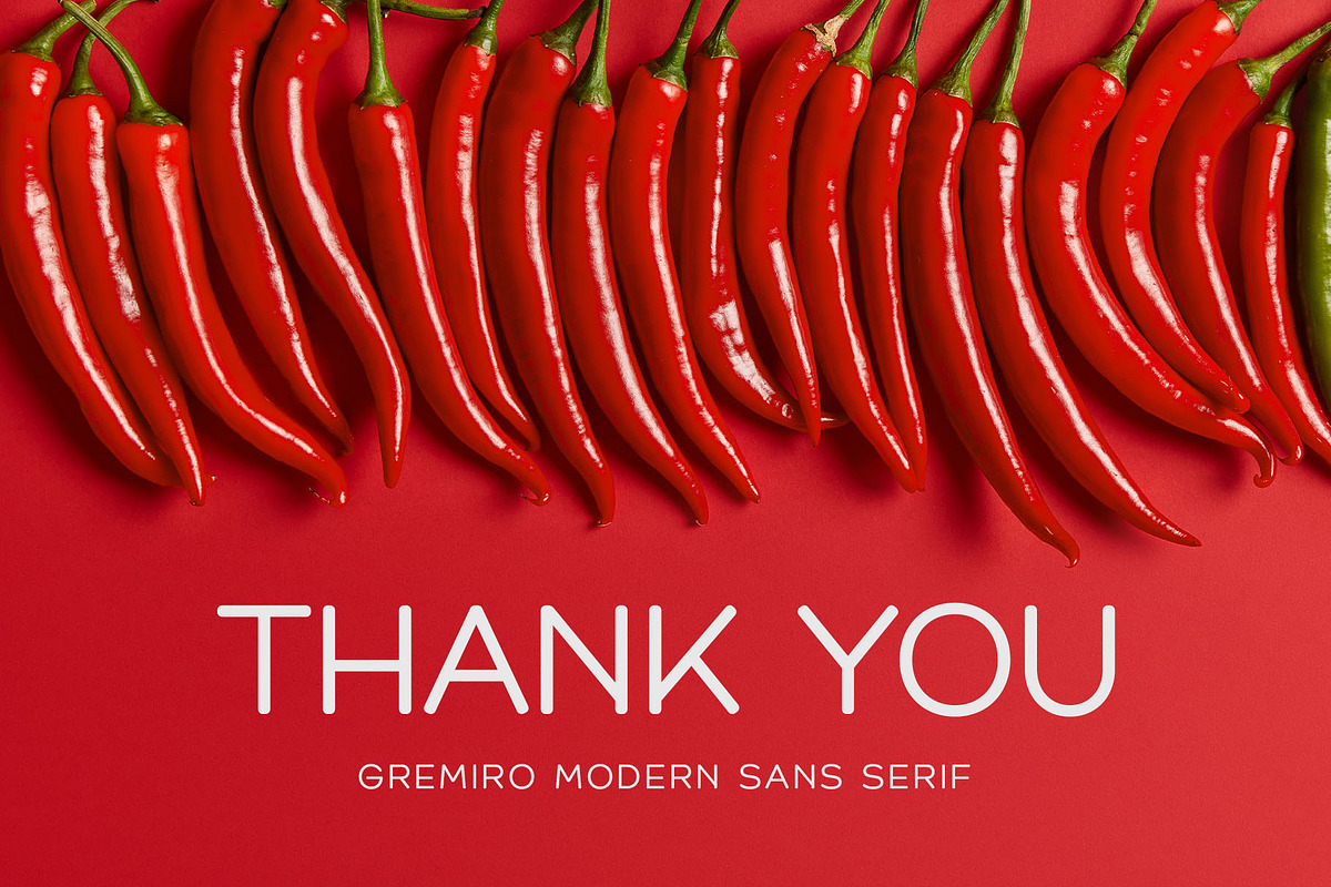 Gremiro - Modern Sans Serif, a Sans Serif Font by Typeformers (Photo 5 of 5)