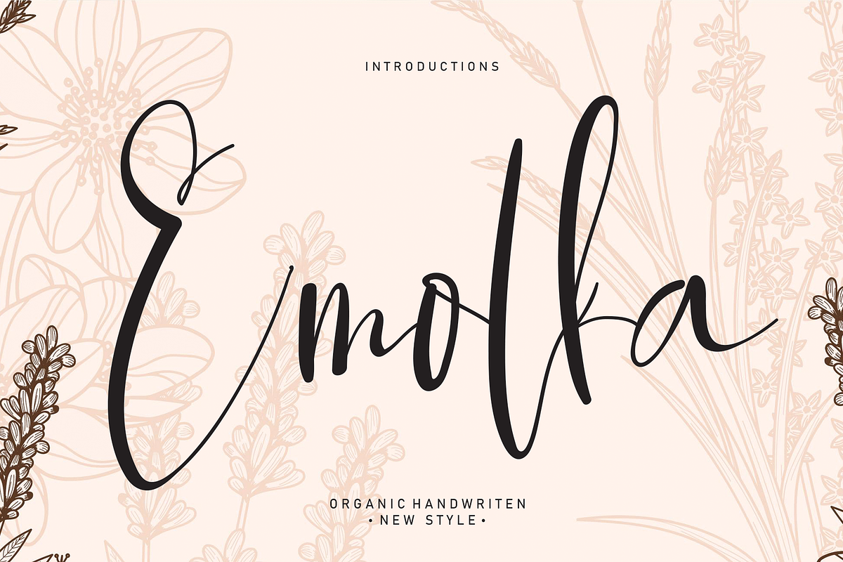Bundles Script font Collections, a Script Font by Scratchones (Photo 19 of 35)