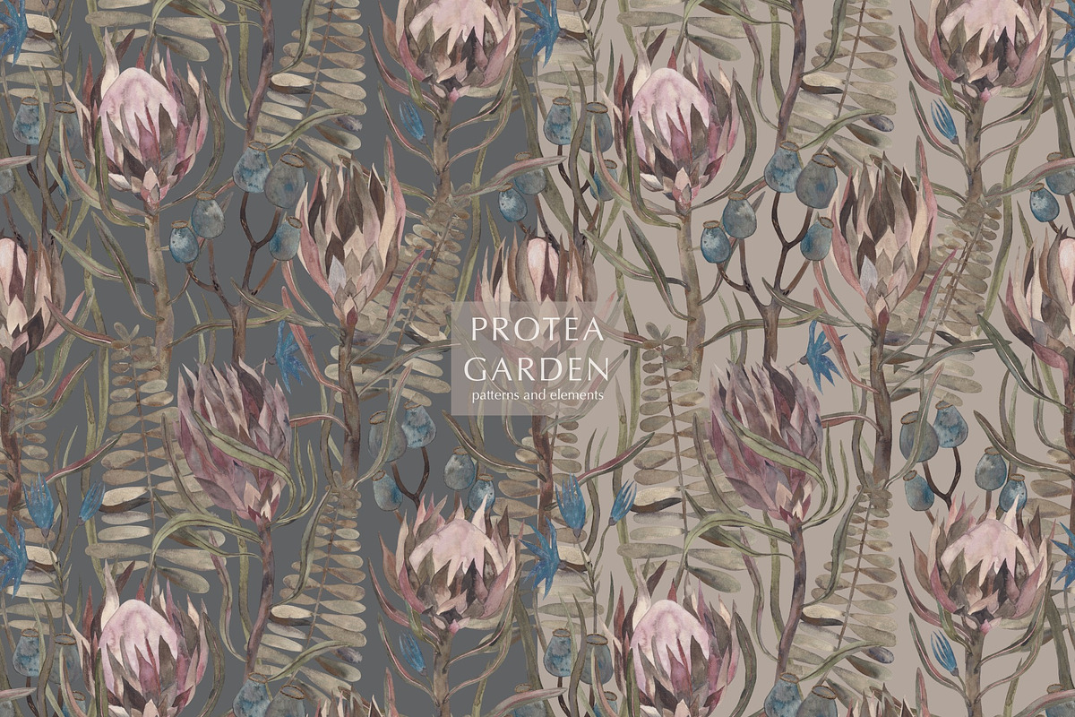 Pattern PROTEA GARDEN, an Illustration by PASHKOVA (Photo 13 of 14)