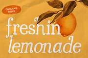 Casoria Serif, a Serif Font by Letter Fresh (Thumbnail 9 of 12)