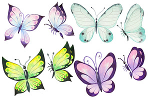 Watercolor Set Butterfly Clipart