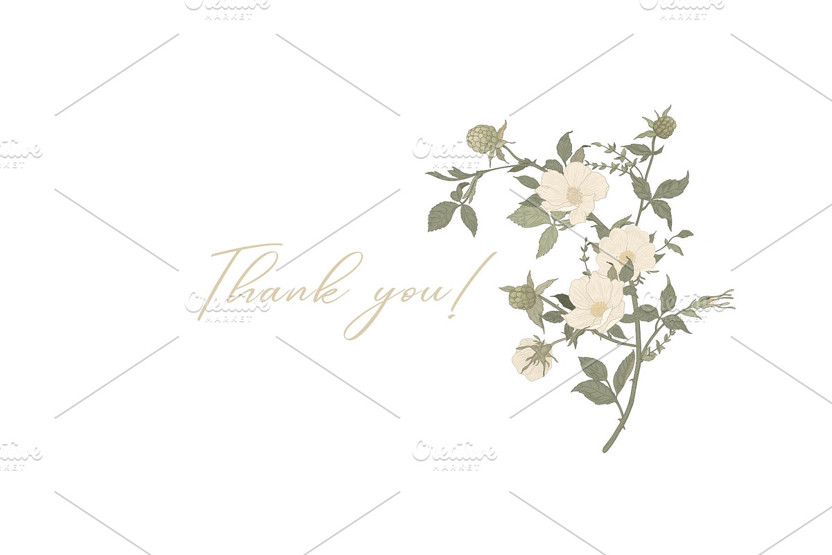 Bramble Bloom Seamless Pattern, a Pattern Graphic by MouseGrey (Photo 17 of 17)