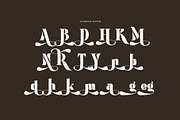Megina Elegant Ligature Serif Font, a Serif Font by Perfectype (Thumbnail 9 of 9)