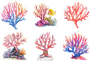 Coral Reef Clipart Bundle, an Illustration by Pixels.Craft (Thumbnail 2 of 8)