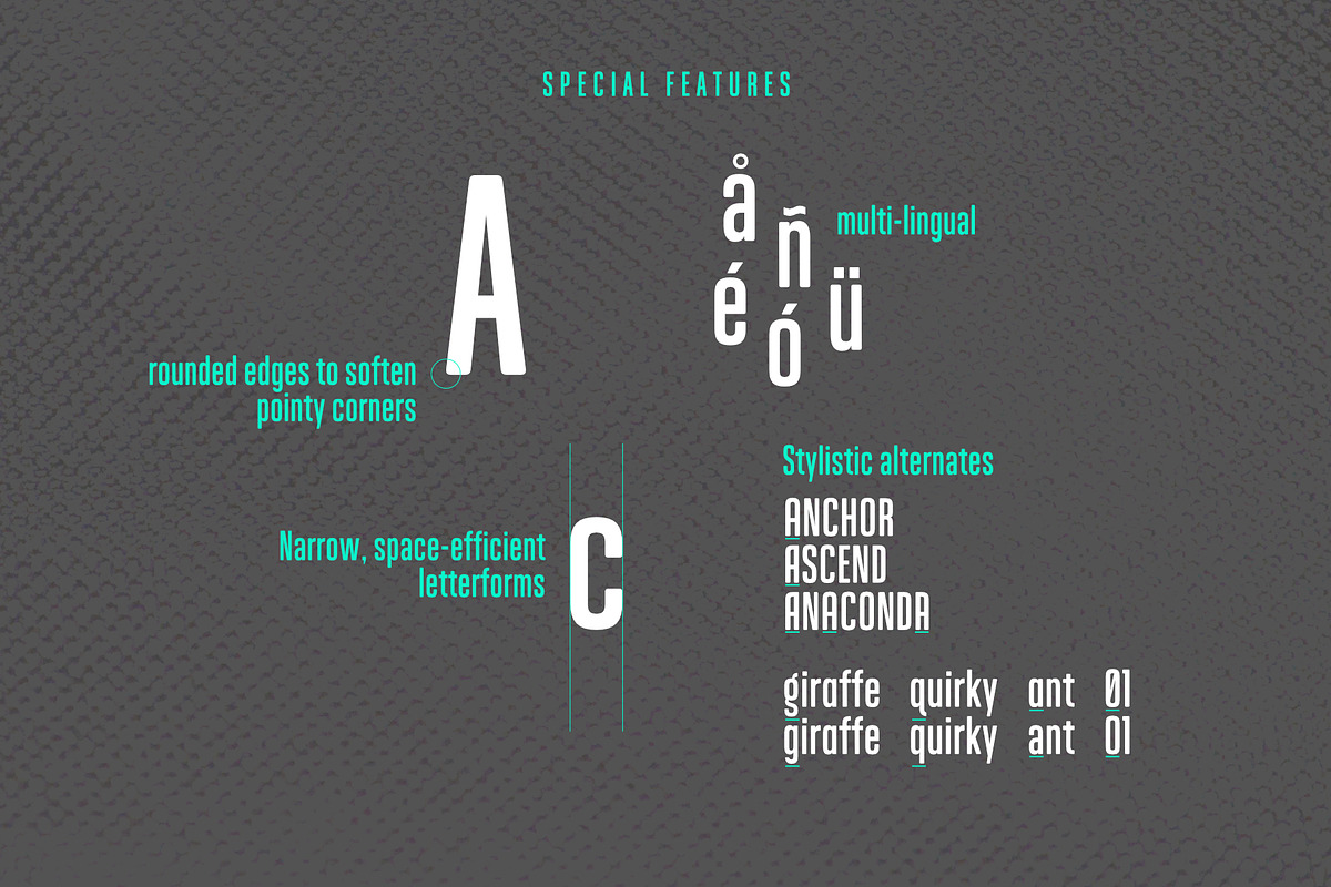 Essential Gothic Condensed preview 3