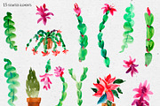 Watercolor Thanksgiving cactus, an Illustration by Belusuab (Thumbnail 2 of 14)