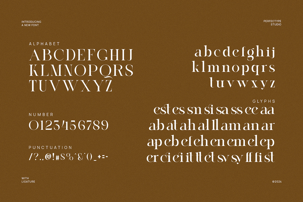 Qelian Modern Ligature Serif Font, a Serif Font by Perfectype (Photo 6 of 6)