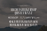 Malken Elegant Ligature Serif Font, a Serif Font by Graphicxell (Thumbnail 6 of 6)