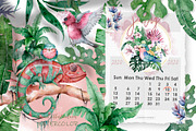 Tropical Wildlife Watercolor set, an Illustration by Ann Art Houze (Thumbnail 11 of 13)
