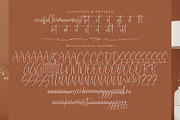Austellas Caffetary, a Handwritten Font by operatype.co (Thumbnail 13 of 14)