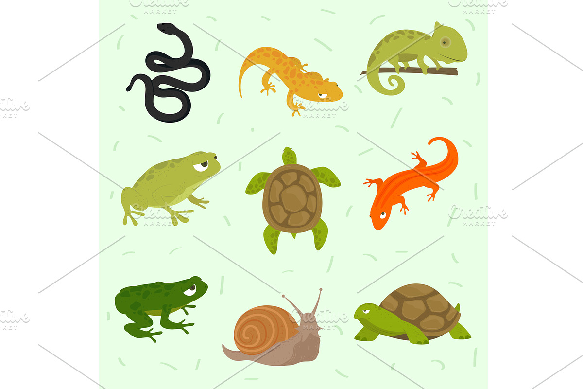 icons set reptiles and amphibian, an Animal Illustration by studiogstock