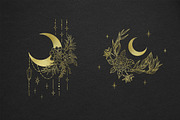 Botany & Moon. Hand Drawn Line Art., a Decorative Illustration by Designwork (Thumbnail 13 of 20)
