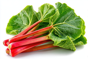 Fresh Rhubarb Stalks with Green Leav, a Photo by Pixeness Studio