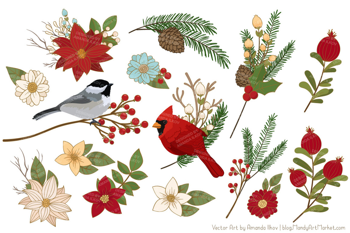 Christmas Birds & Flowers Vectors, an Illustration by Amanda Ilkov (Photo 3 of 5)