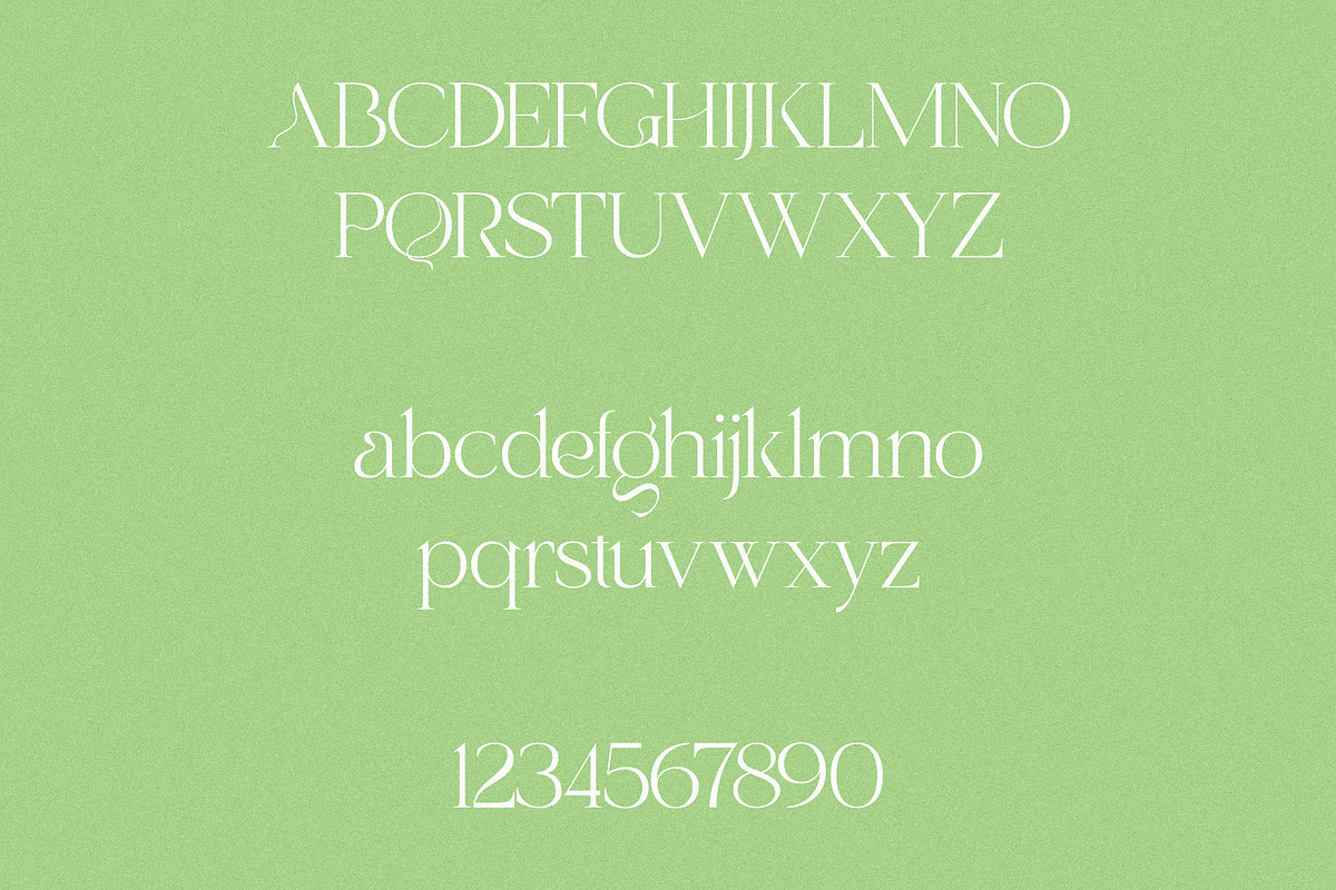 Mango Garden - Elegant Serif, a Serif Font by Misha Sova (Photo 10 of 11)