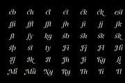 Gabriela, a Serif Font by Lechuga Type (Thumbnail 11 of 17)