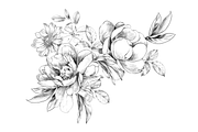 Hand Sketched Peonies, an Object Graphic by VictoriaKStudio (Thumbnail 9 of 9)