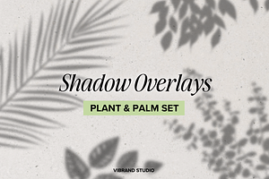 Aesthetic Plant&Palm Shadow Overlays