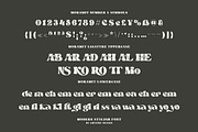 Trendy & Modern Fonts 2 - 10 Sets, a Font by Cruzine (Thumbnail 32 of 42)