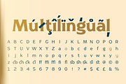 Naveid Elegant Cupped Serif Font, a Serif Font by Namela Studio (Thumbnail 6 of 6)