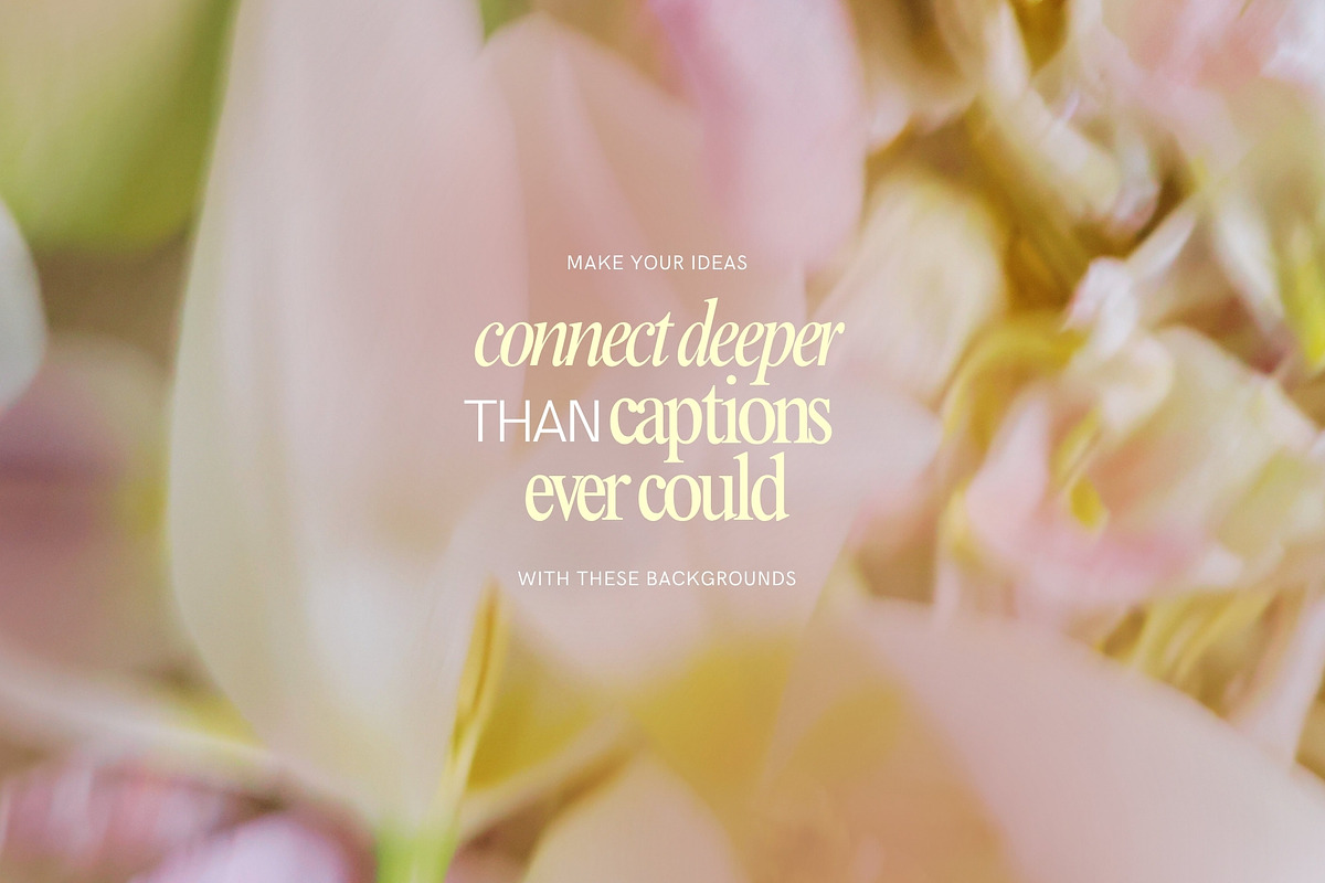 Soft Floral Spring Blur Backgrounds, a Background Graphic by eclosque (Photo 38 of 48)
