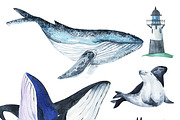 Oceanic Stories, an Animal Illustration by KatBranchArt (Thumbnail 3 of 4)