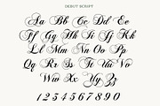 Debut - Serif & Script Duo, a Script Font by Loudoun Design Co. (Thumbnail 5 of 9)