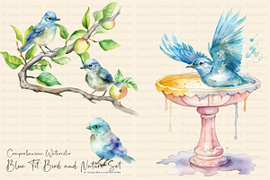 Watercolor Blue Tit Bird Nature Set