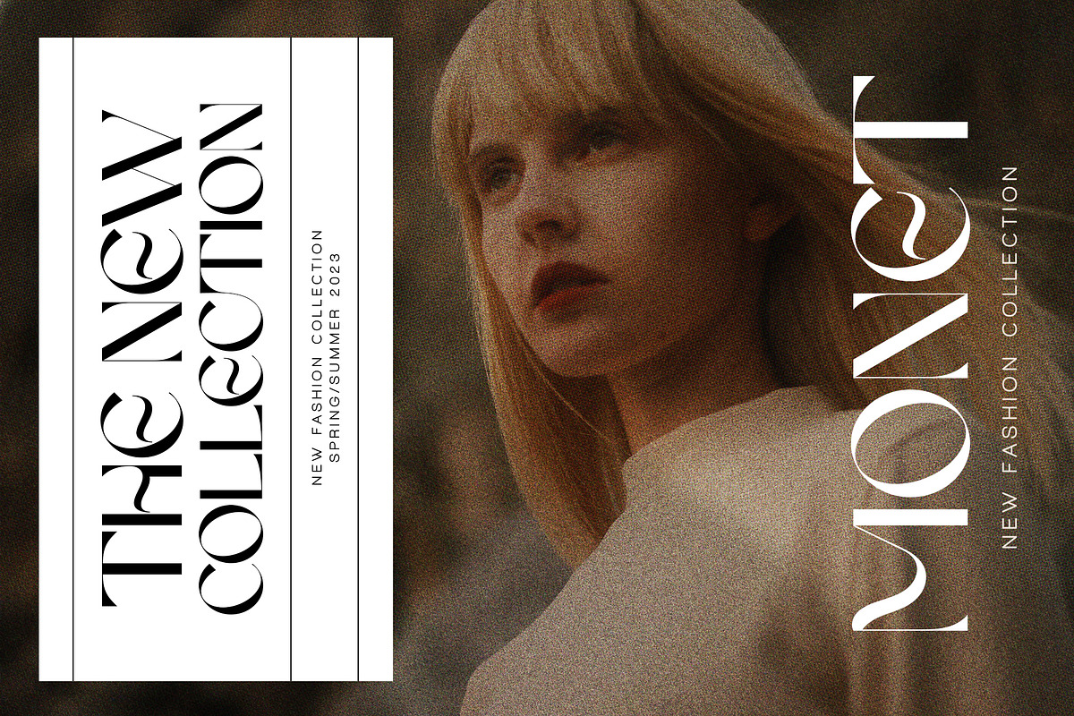 FRENCH CHATEAUX - Chic Display Font, a Sans Serif Font by SilverStag Type Foundry (Photo 10 of 22)