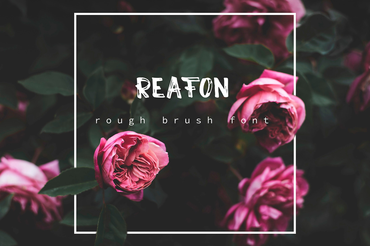 Reafon. Brush Font