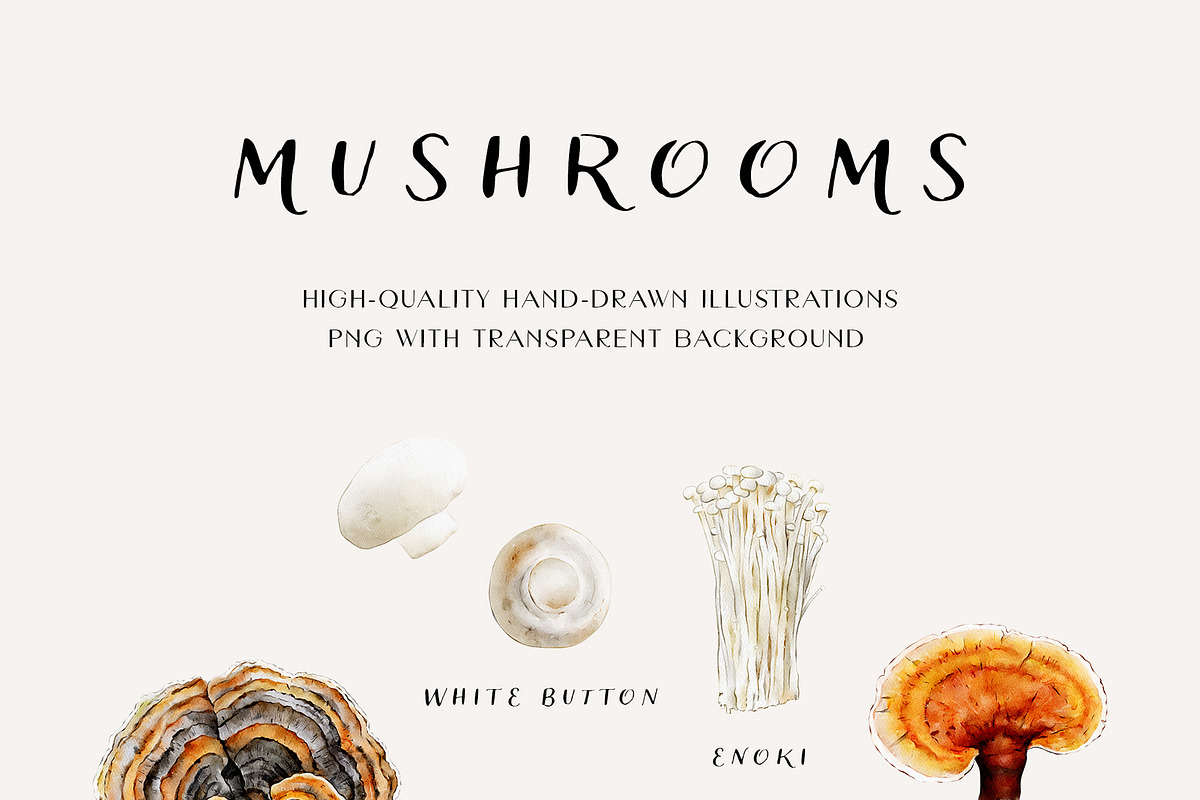 Mushroom illustration. Fungi clipart, a Food Illustration by Diana Askarova Art (Photo 3 of 6)