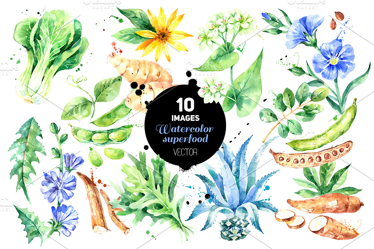 Watercolor Superfood Vector Set, a Food Illustration by Elena Pimonova (Photo 1 of 5)