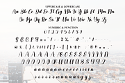Leicester | Script Font, a Handwritten Font by Scratchones (Thumbnail 7 of 9)