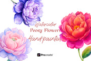 Watercolor Peony Flowers Clipart, an Object Illustration by crafty (Thumbnail 1 of 10)