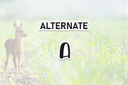 Baby Animal | Script Font, a Script Font by Scratchones (Thumbnail 8 of 9)