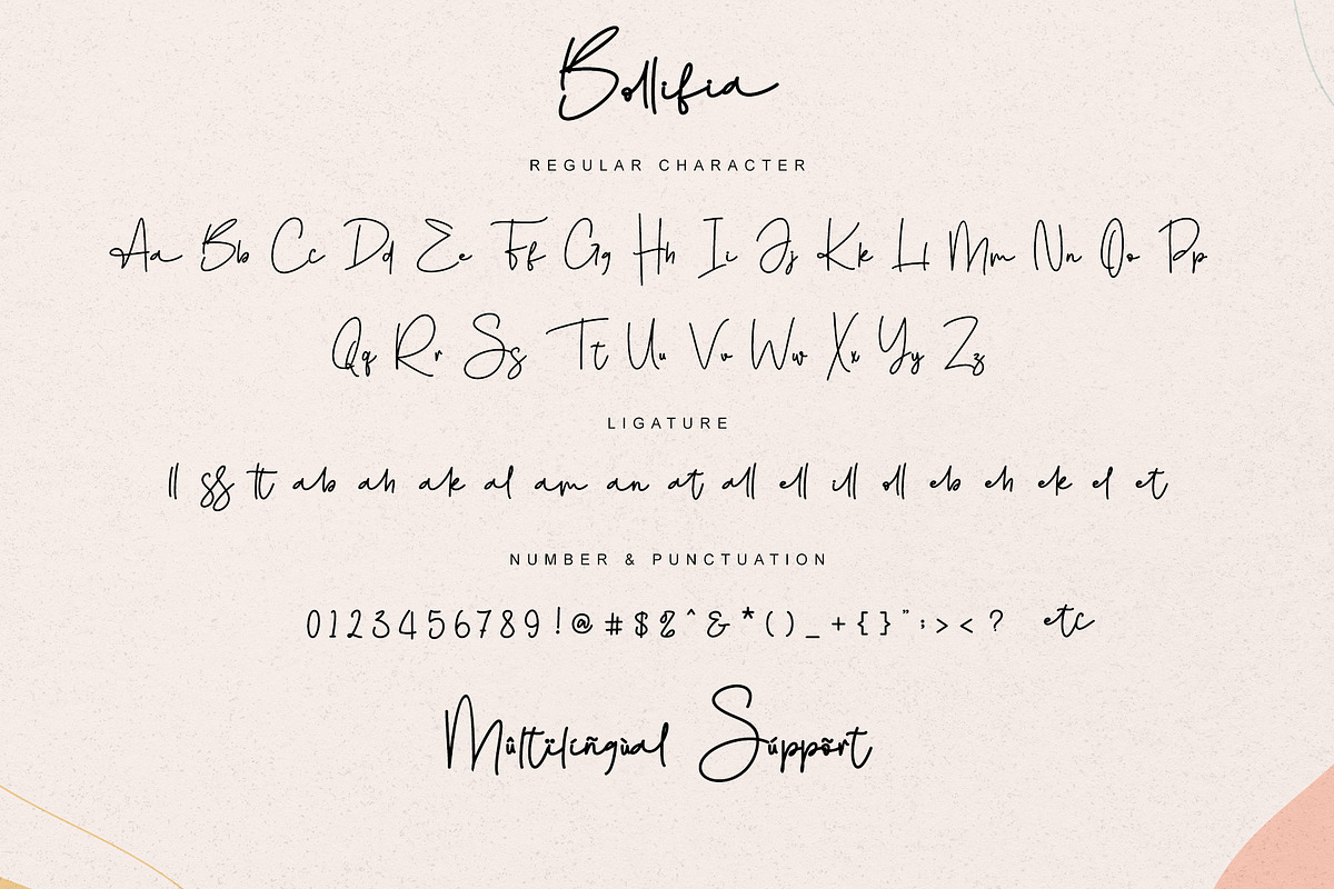 Bollifia, a Script Font by Letterara (Photo 6 of 7)